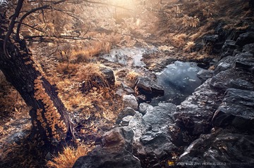 IMG_9713_4_5_fused.jpg