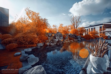 IMG_2692_DxO