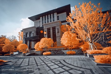 IMG_2694_DxO