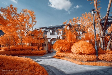 IMG_2702_DxO