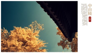IMG_2688_DxO