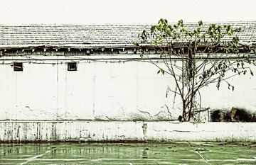 20118711.jpg