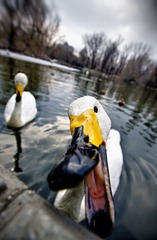 20110178.jpg