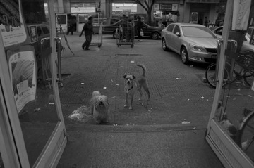 20110558.jpg