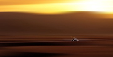 20115865.jpg
