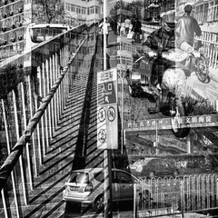 20110510.jpg