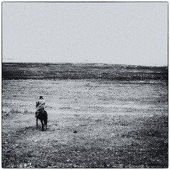 20115832.jpg