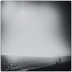 20115898.jpg