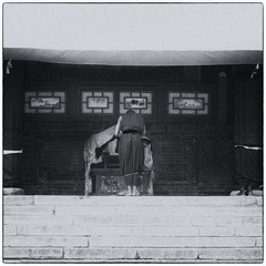 20116008.jpg