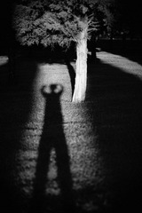 DSC_0343-Recovered.jpg
