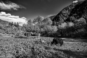 20111086 副本.jpg