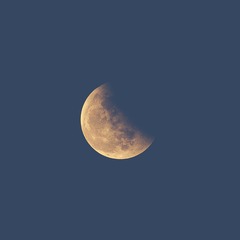 202FA8C0-0B6C-4AE8-A3EE-3207E8A05E35/L0/001