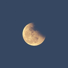 C177E46A-0F45-454E-B0C8-C5EEDC6FA1B0/L0/001