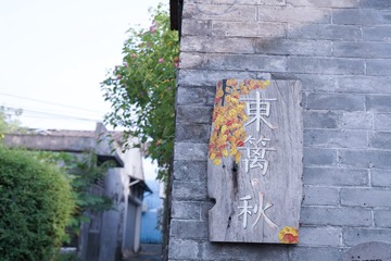 981298