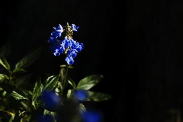 B335A7E3-E63B-420C-8DF6-5978FBD07940/L0/001