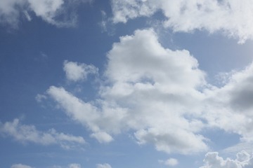 6B6C0EC9-7174-4769-BCF1-3FBA3D56E3D5/L0/001