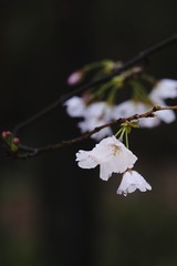 6B4A47C1-2FEC-4A8C-A619-638B9CE952EF/L0/001