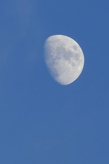 C05EEFF1-5D9C-498E-97F2-50D44824DE46/L0/001