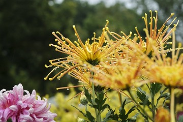 3FD9E335-FF50-485D-9A2B-2B0F6AAEF3AE/L0/001
