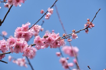 AF62E52F-5B35-4670-B036-7C4E4A14AF3B/L0/001