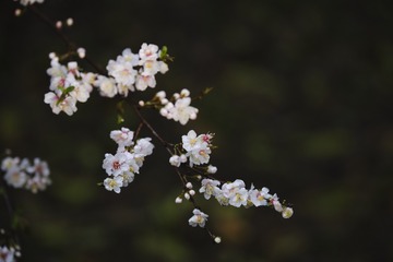 31901A39-A651-4F9A-9257-F3DC3E0FE5F5/L0/001