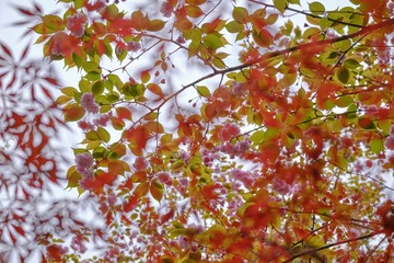 90DA84CA-296F-4AB6-82F2-0982D69C47B3/L0/001
