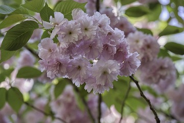 25EB4885-554F-4A84-89DB-59EF1575CB38/L0/001