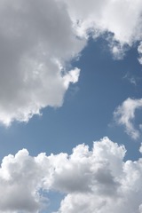 D4408271-932D-4C8F-87F9-ED0C573519A5/L0/001