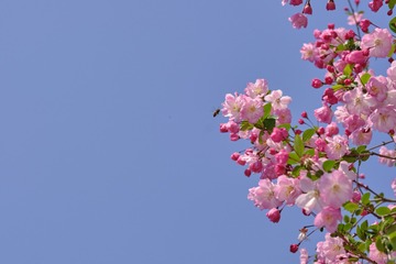 A0A0B4EB-1F42-4AAE-9400-3F58E2CB1D41/L0/001