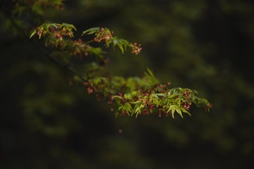 7B2369D1-C930-4C77-9240-1D1EBD8616DA/L0/001