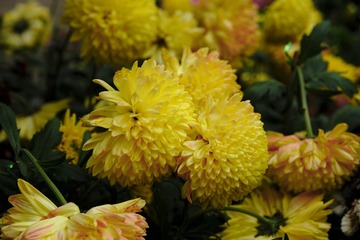 4E19C278-9D9E-4E61-B0D8-7846EDF32716/L0/001