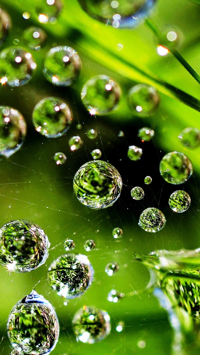 水珠- 真-明镜止水 - 图虫