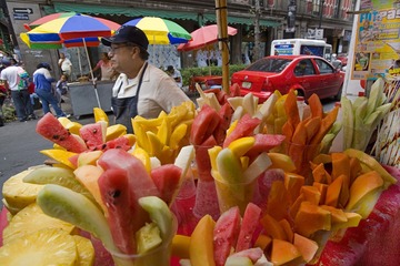 大庄 放牛人和水牛 2008