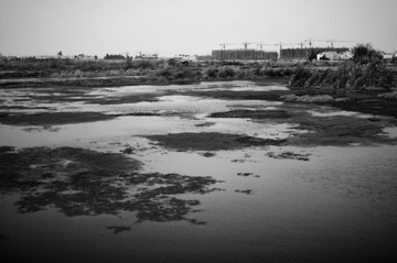 滇池湿地 2010