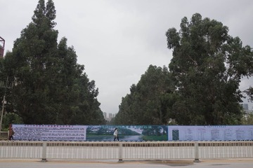 DSC04115.jpg