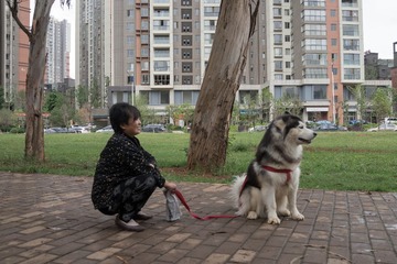 DSC04172.jpg
