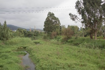 DSC04222.jpg