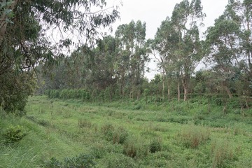 DSC04252.jpg