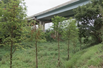 DSC04270.jpg