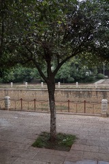 DSC04440.jpg