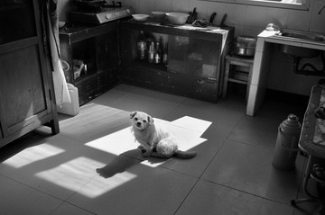 李大爹家的多多 2011