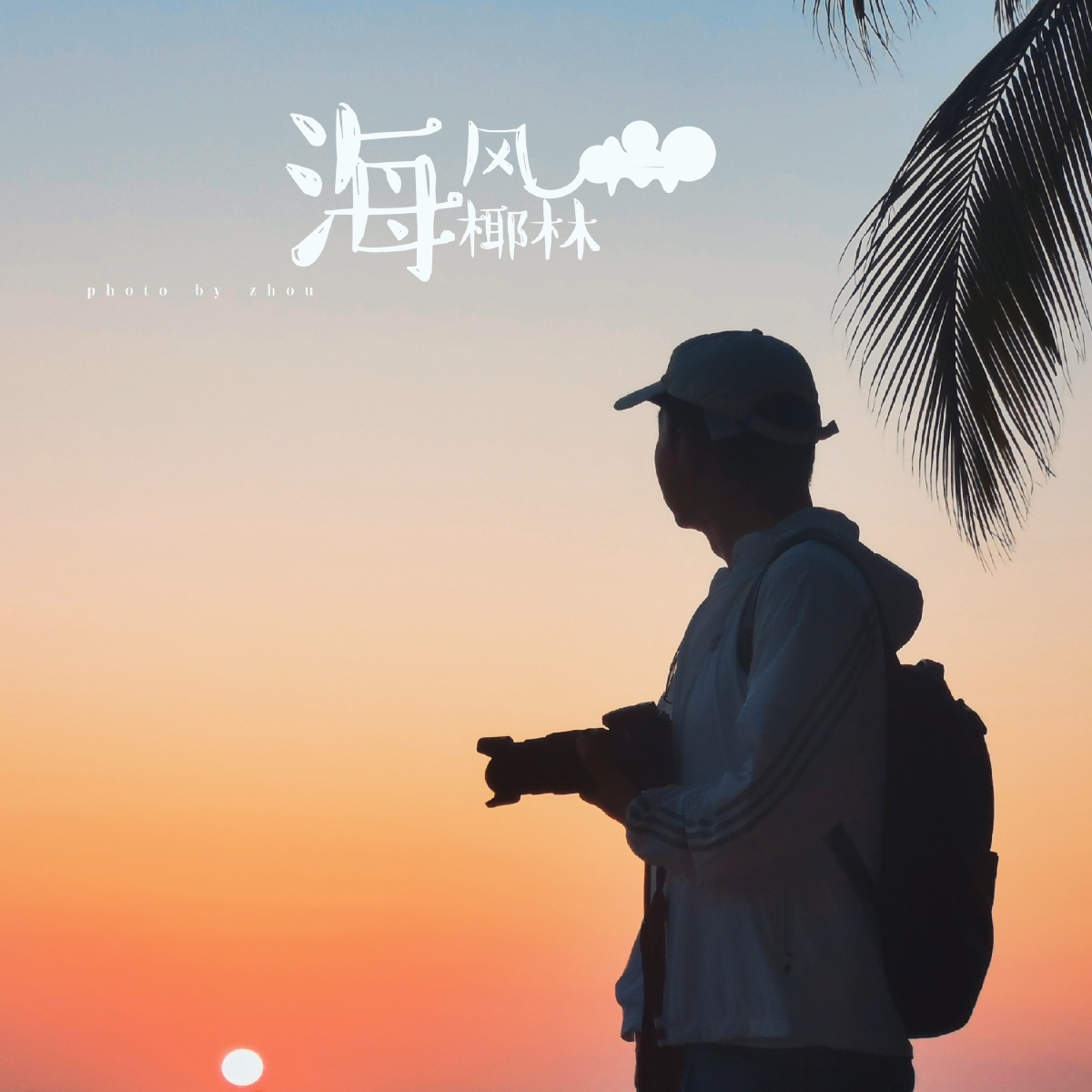 又见斜阳缀椰林