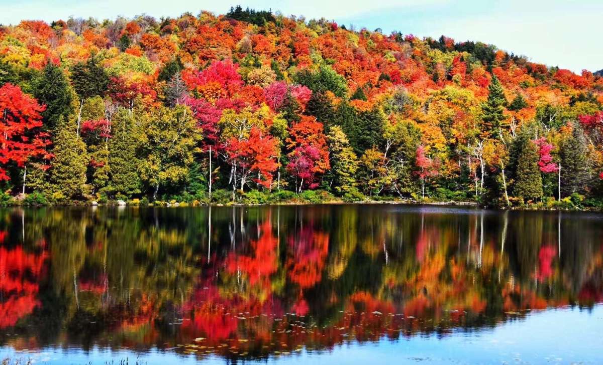 最美不过自然界的色彩 - 爱吃胡萝卜的卓哥 - 图虫