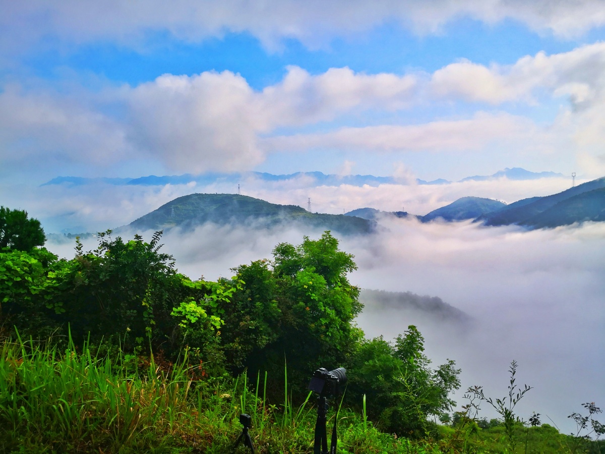 旬阳县太极城毛公山日出云海