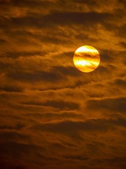 216D3044-922B-41F8-9990-F8EA7CB01482/L0/001