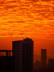 0A1E0EB7-0766-4DA8-9CEA-FD12AE321741/L0/001