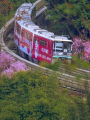 63C96B46-584A-40CE-8100-B5F6B5FC505B/L0/001