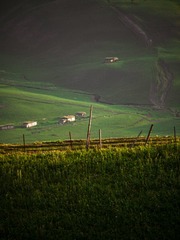 1DEEA6A4-975C-4683-9F5E-64D3E99B5BB1/L0/001