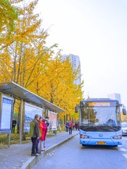 D4A100D6-242B-411C-BC34-D1147E9F5C66/L0/001