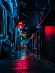 7E8D7B4C-23E4-4B6F-BAEE-BF78216B1CDA/L0/001